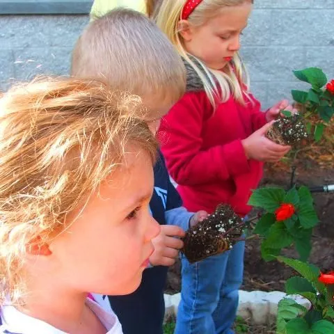 thumbnail for publication: Why is Exposure to Nature Important in Early Childhood?